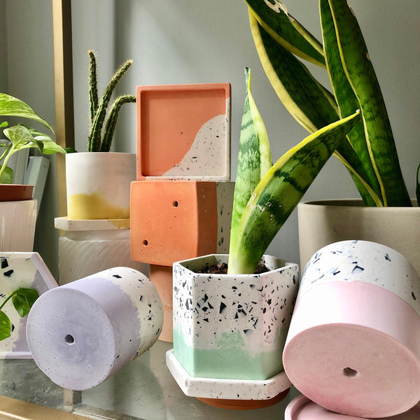 3" Blush & Terrazzo Jesmonite Plant Pot
