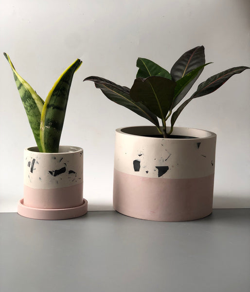 3" Blush & Terrazzo Jesmonite Plant Pot