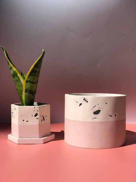 3" Blush & Terrazzo Jesmonite Plant Pot