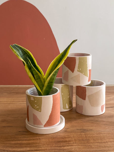 3” chunky terrazzo planter pot Terracotta / Sage