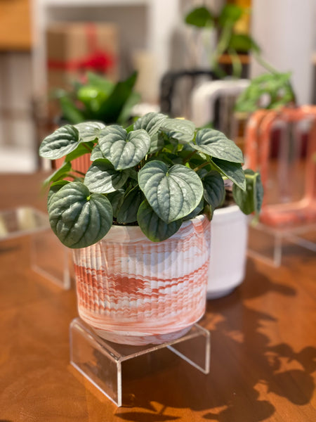 4” Ribbed Marble Planter Pot