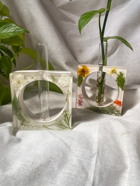 White floral propagation station