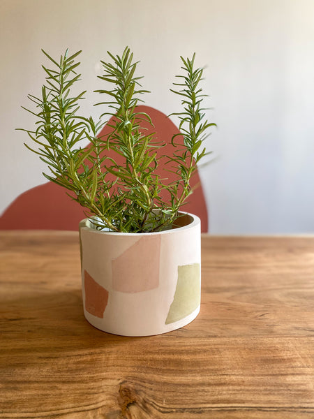 6” Chunky Terrazzo indoor planter pot