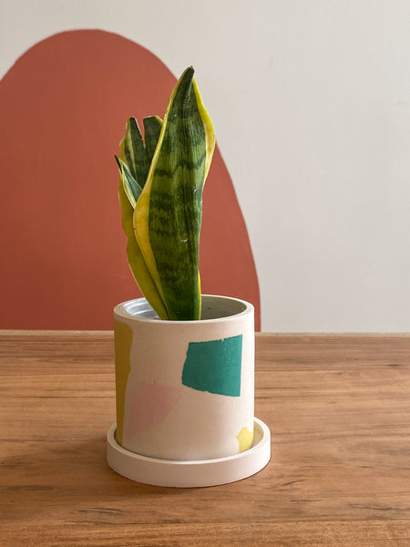 3” Teal Chunky Terrazzo planter pot