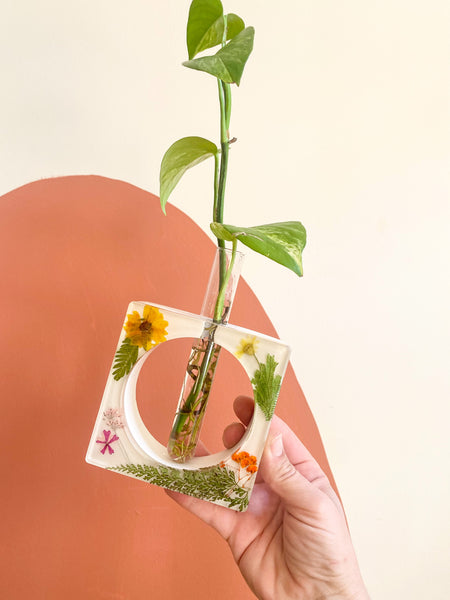 Colorful floral propagation station