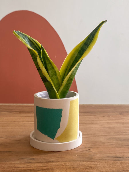 3” Teal Chunky Terrazzo planter pot
