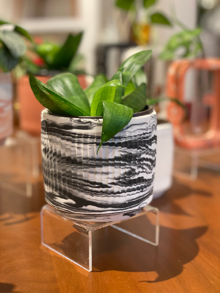 4” Ribbed Marble Planter Pot