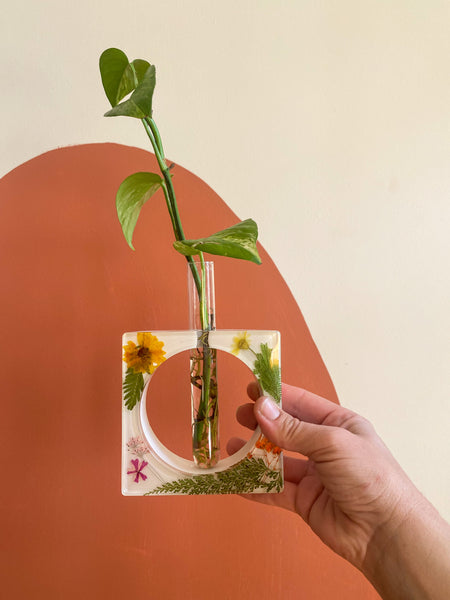 Colorful floral propagation station