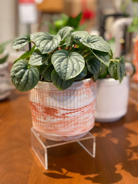 4” Ribbed Marble Planter Pot